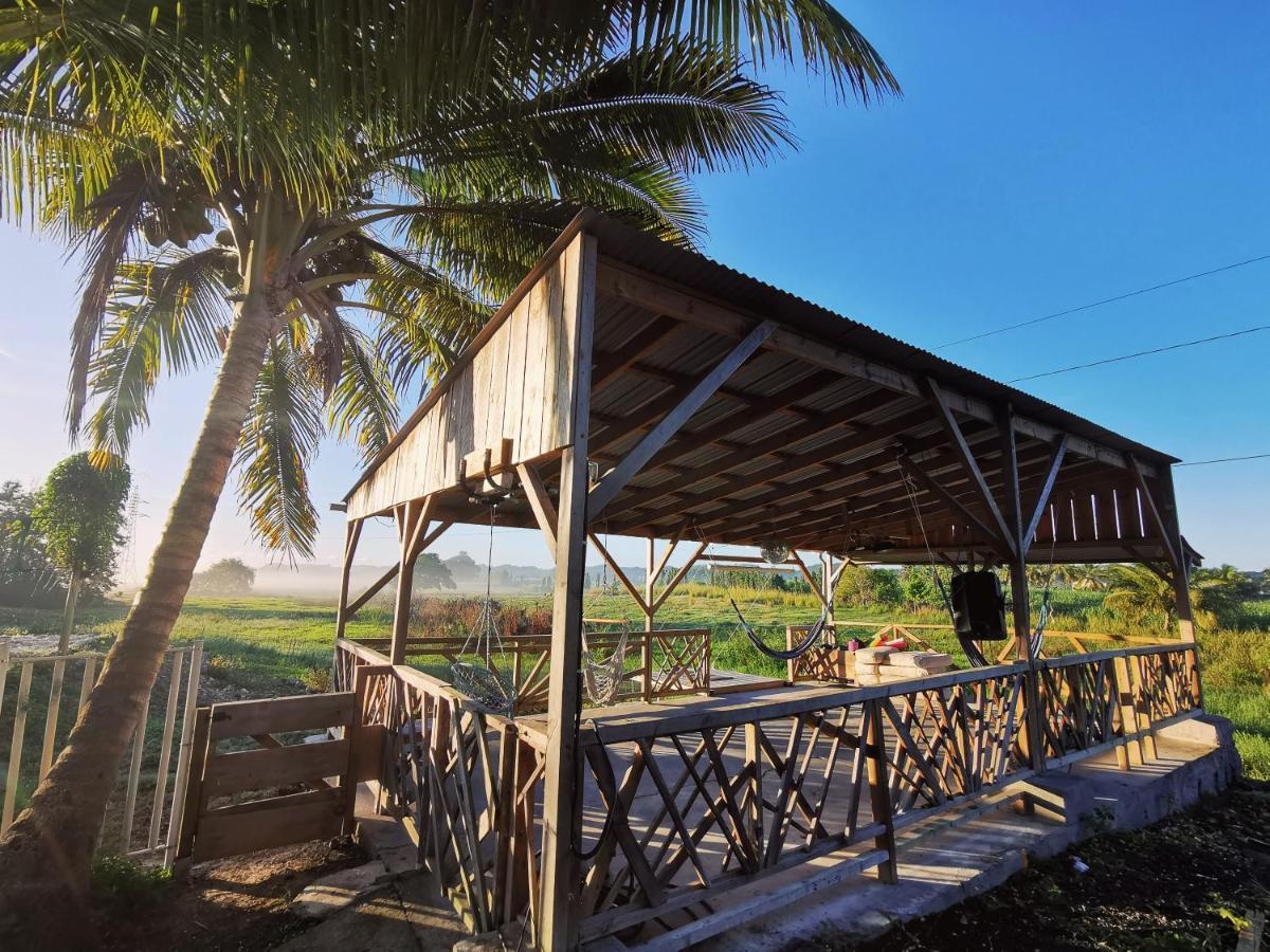 Ride In Youth And Surf Center Morne-a-l'Eau Buitenkant foto